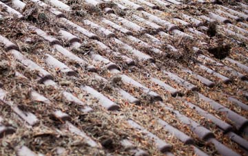 Wall roof cleaning companies